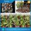 agriculture expanded perlite