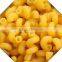 shell shape vermicelli pasta machine/processing line