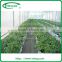 High tunnel greenhouse for sale