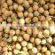 2015 July 100% Orchard fresh sweet Longan fruit