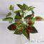 China Manufacture Artificial Evergreen Bonsai Artificial Leaves for Table Centerpieces Decoration