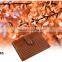 China  express special leather money clip credit card holder