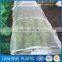 new arrival uv treated hdpe greenhouse insect net , agriculture pe anti insect net , insect screen/net with low price