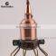Wire Cage Lamp Shade with Brass Lamp Socket/Braided Wire,Pendant Lamp