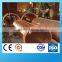 C11400 air conditioner copper pipe fittings / copper heat pipe