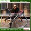 5800 brakes carbon bicicleta 22speed road bike