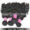 2014 6A Unprocessed silk straight remy indian human bulk hair Baby Curly