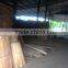 eucalyptus core veneer 1270*640*3.3mm