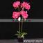 Home& Indoor Decoration,single Stem Artificial Butterfly Orchids Wholesale Bonsai