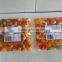 Halal Pecitin Fruity colorful jelly beans