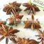2015 China Origin Well Dried Star Aniseeds