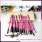 Private Label Acceptable 14 pcs makeup brush with PU bag