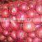 small red onion onions fresh 20kg red onions packing small size red onion