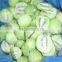 BRC,KOSHER,HALAL IQF kiwi halves