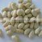 New Crop Roasted Blanched Peanuts Kernels China