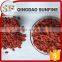 The new crop dried China goji in high quality