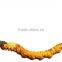 High Quality Natural Cordyceps Sinensis Extract/Cordyceps Sinensis Powder