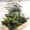 Perfect waterproof rectangular planter of Indoor Gardening