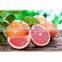 Grape fruit oil