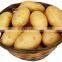 automatic potato sorting machine/apple sorter grader machine/onion grading machine
