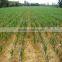 Flat and Emitter Drip Tape Irrigation With Thickness 0.25MM