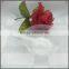 Beauty Makeup DIY Facial Face Mask Mixing Bowl/powder bowl Spoon