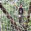 Chinese manufactur cargo climbing nets