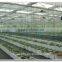 Agricultureal 4mm float glass greenhouse