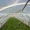 Anti-drip, anti-fog, single span blowing Agriculture LDPE trasparent plastic film for vegetable greenhouse