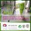 PP spunbond nonwoven fabric for table cloth 60gsm