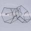 Micro Landscape Geometric Air Plant Succulent Glass Container Vase Pot Terrarium