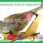 2015 new eco friendly pine wood oak wood stand for ham wholesale