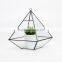 2016 best selling Tabletop Succulent Planter/Faceted Geometric Terrarium/Terrarium Box