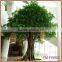 OEM GRC trunk banyan tree manufacturer