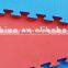 2017 hot sale online super cheap good quality non toxic eva tatami puzzle mats sport mat 20mm