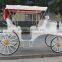 BISINI cinderella carriage royal horse carriage(BG11-M087)