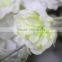White Consolida ajacis artificial Consolida ajacis flowers decorative flowers
