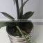 Realtouch orchid artificial flower arragements with flowers pots