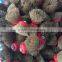 COPPER WIRE POLISHING BRUSH