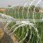 Galvanized Razor Wire from Guangzhou supplier