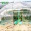 2017 China Low Cost Tunnel Greenhouse Kits