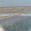 Factory Supply Agricultural Tunnel Greenhouse Clear Plastic Film to Export