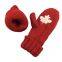 Glove Supplier Acrylic Glove Wool Mitten With Embroidered Logo for Winter Season