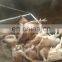 304 stainless steel material chicken slaughter machine dehairer for sale price chicken dressing machine