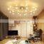 LED Ceiling Lights LED Chandelier for Indoor Bedroom and Living Room Ceiling Lamps Firework Shape Chandelier