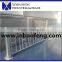 galvanized cattle panels cattle livestock cattle headlock