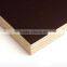 Film Faced Plywood, Shuttering Plywood For Construction