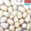 blanched peanut 41/51 51/61