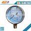 Industrial use Bottom mounting stainless Steel Case tank pressure gauge