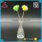 mini 50ml glass flower vase for home decor                        
                                                Quality Choice